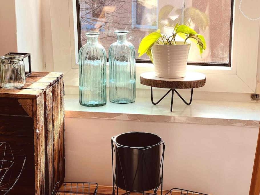 Suburban Jungle Apartman Bochum Kültér fotó